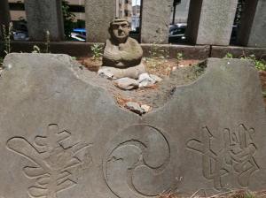 p1010071_27008982803_o