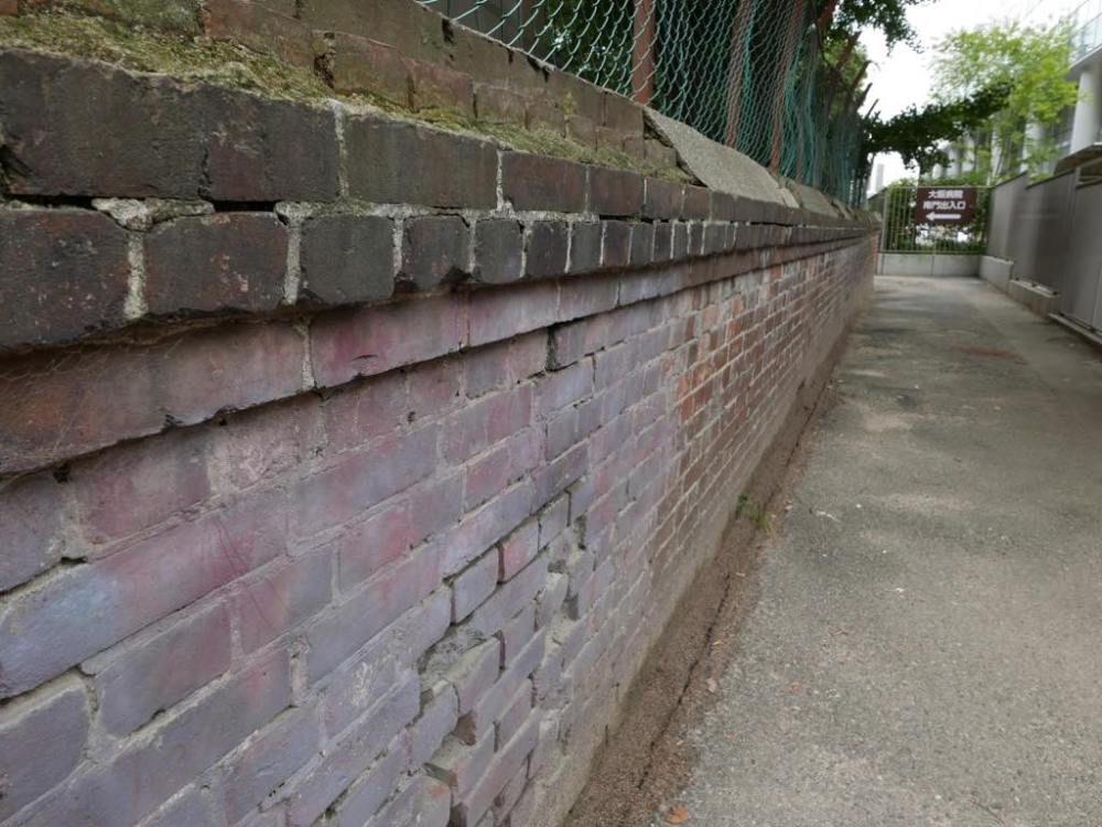 p1010407_27858816971_o