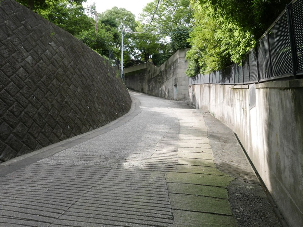 p1020034_28137439272_o